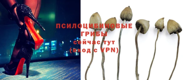 скорость mdpv Богородицк