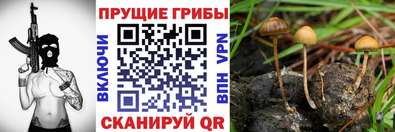 Псилоцибиновые грибы ЛСД  Купить  Володарск 
